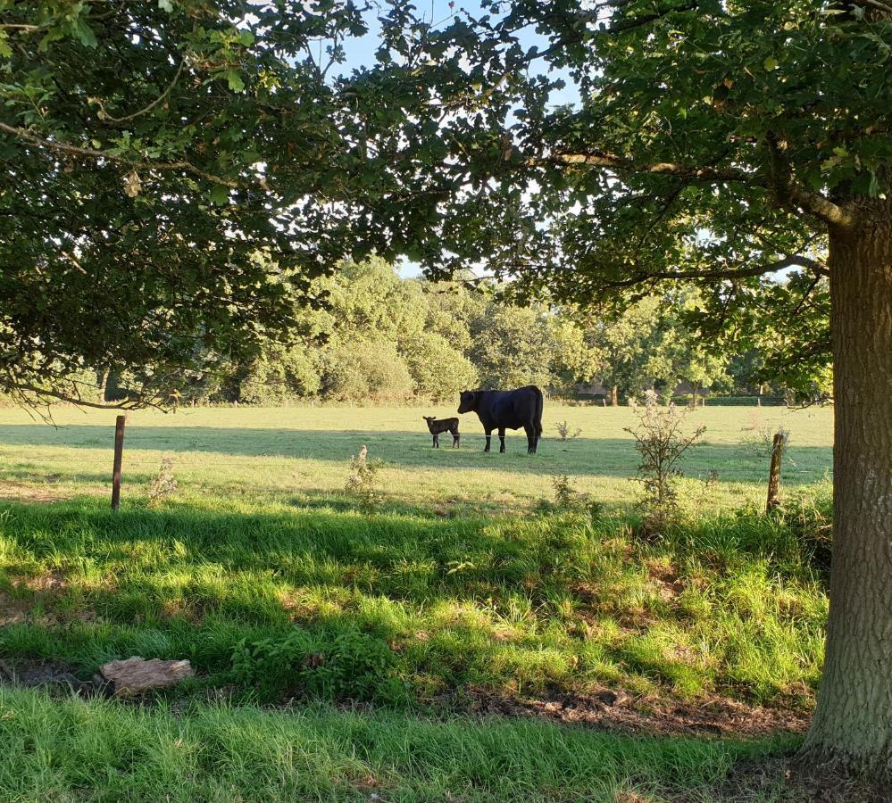 B&B De Scherpenhof Leur Exteriör bild