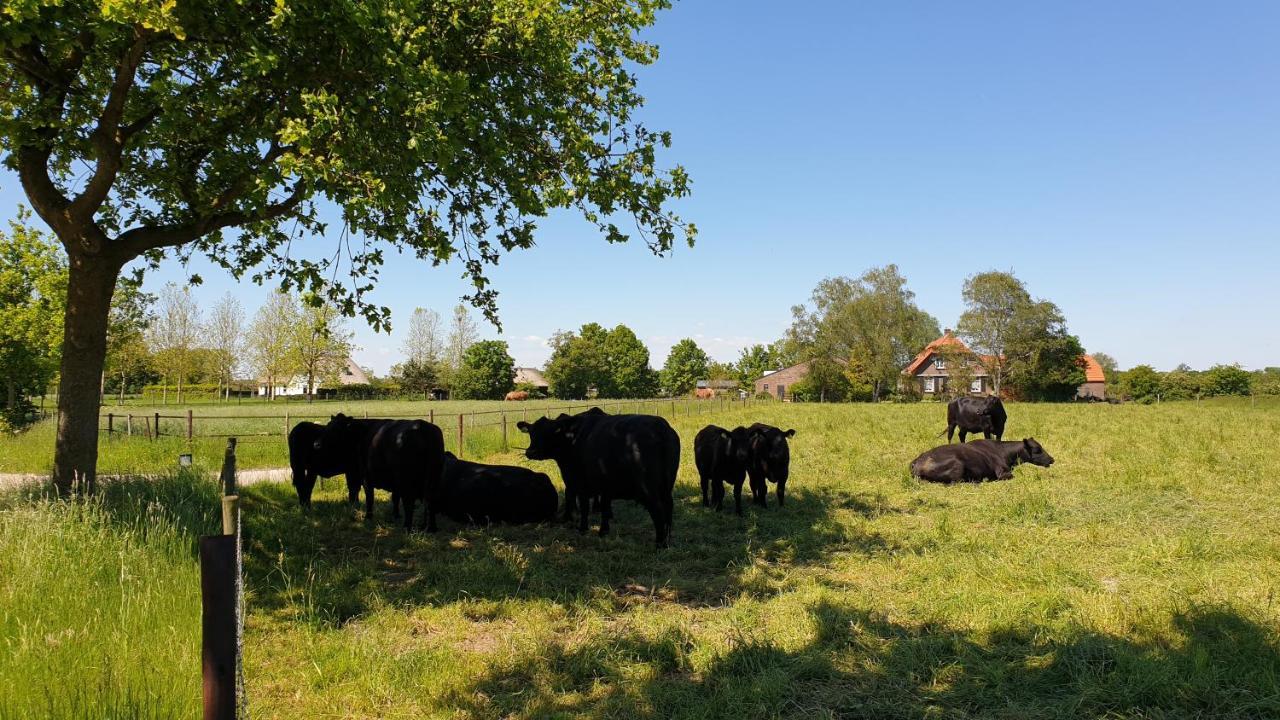 B&B De Scherpenhof Leur Exteriör bild